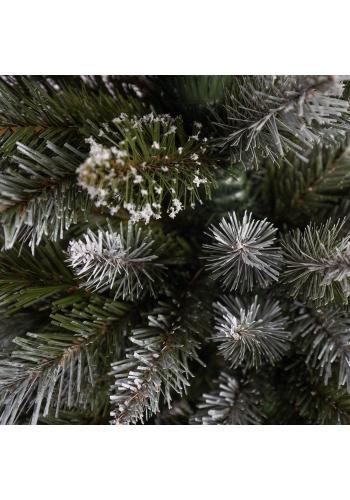 Havas karácsonyfa, gyémánt lucfenyő - 150 cm